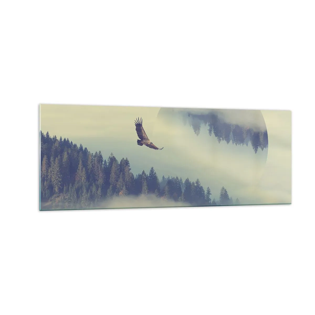 Tablou pe sticlă - Am văzut umbra unui vultur - 140x50 cm