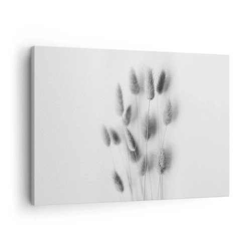Tablou pe pânză Canvas - Ierburi delicate în nuanțe de gri pe fundal alb - 70x50cm - Pufoșenia ierbii - Decorațiune modernă pentru perete pentru living și dormitor ARTTOR