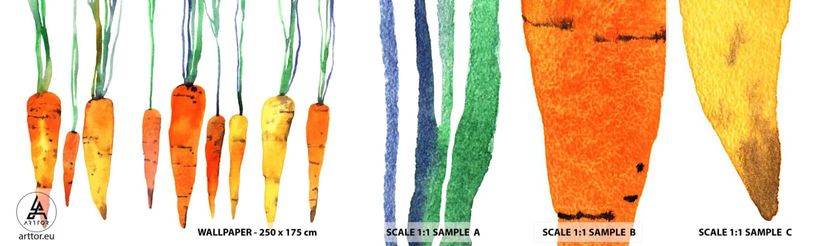 Mostră de Tapet Standard Eco - Frumusețea banalității - Gastronomie, Morcov, Grafică - 100x30 cm
