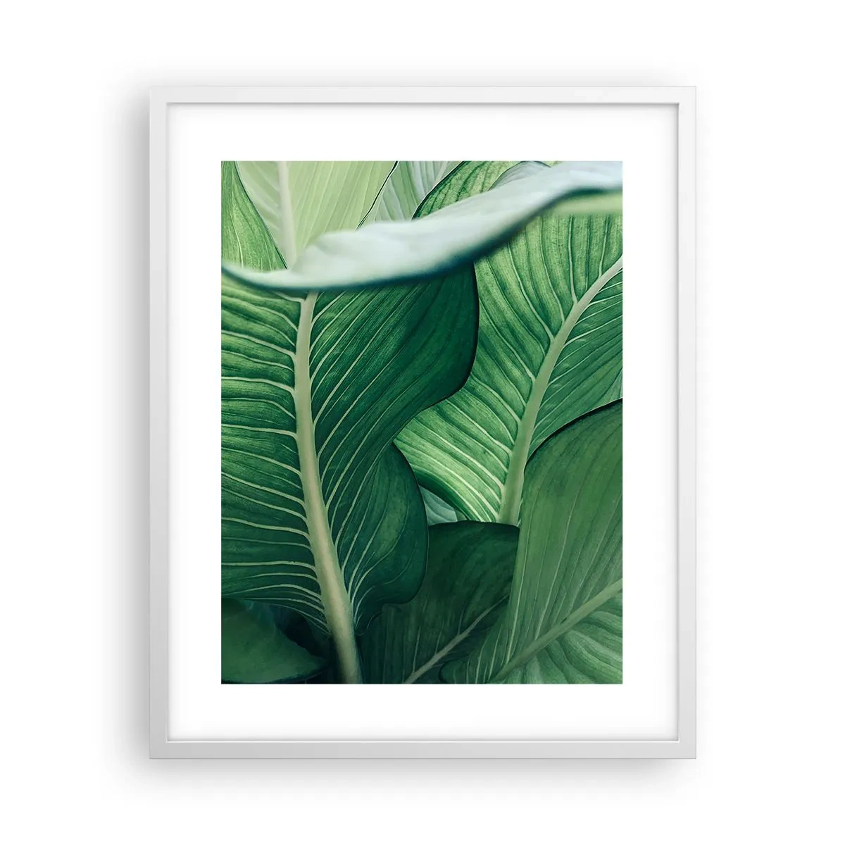 Poster în ramă albă - Viață intensă în verde - 40x50 cm