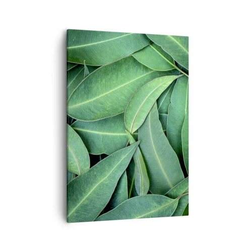 Tablou pe pânză - Suculente și proaspete - 50x70 cm