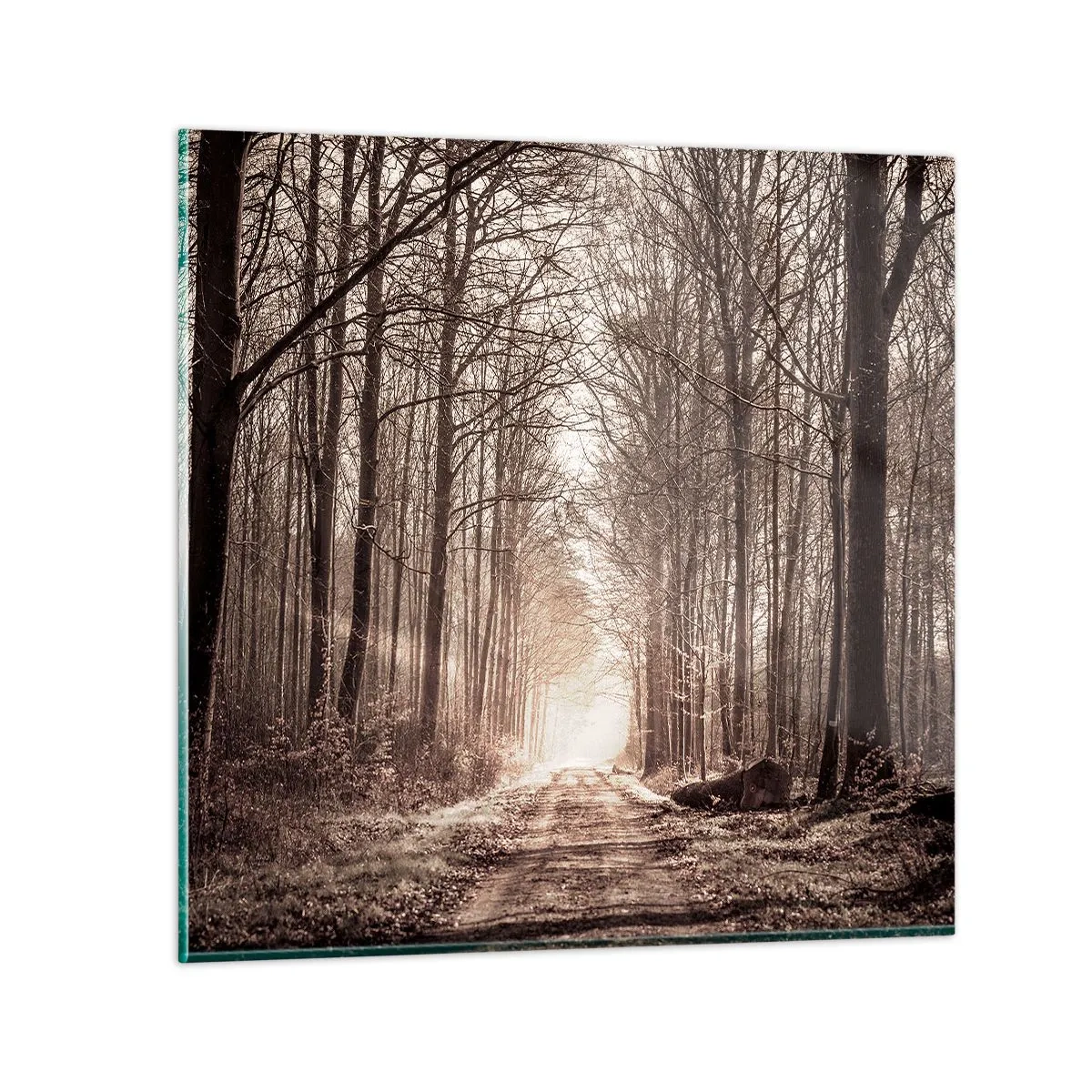 Tablou pe sticlă - Catedrala Forestieră - 60x60 cm