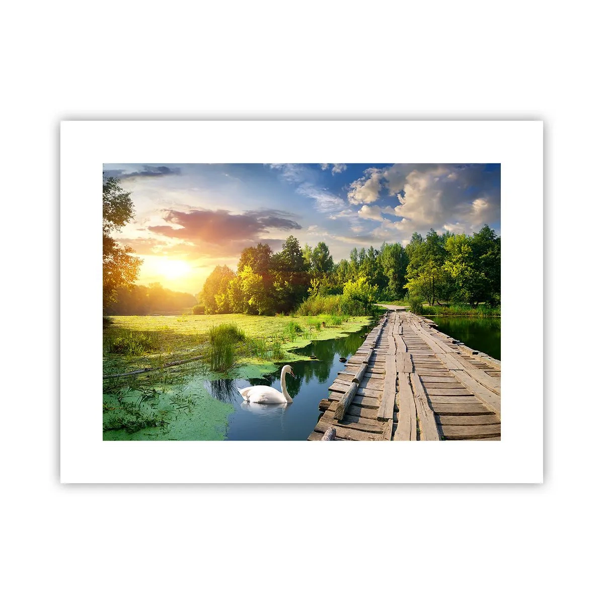 Poster - Vară, vară peste tot - 40x30 cm