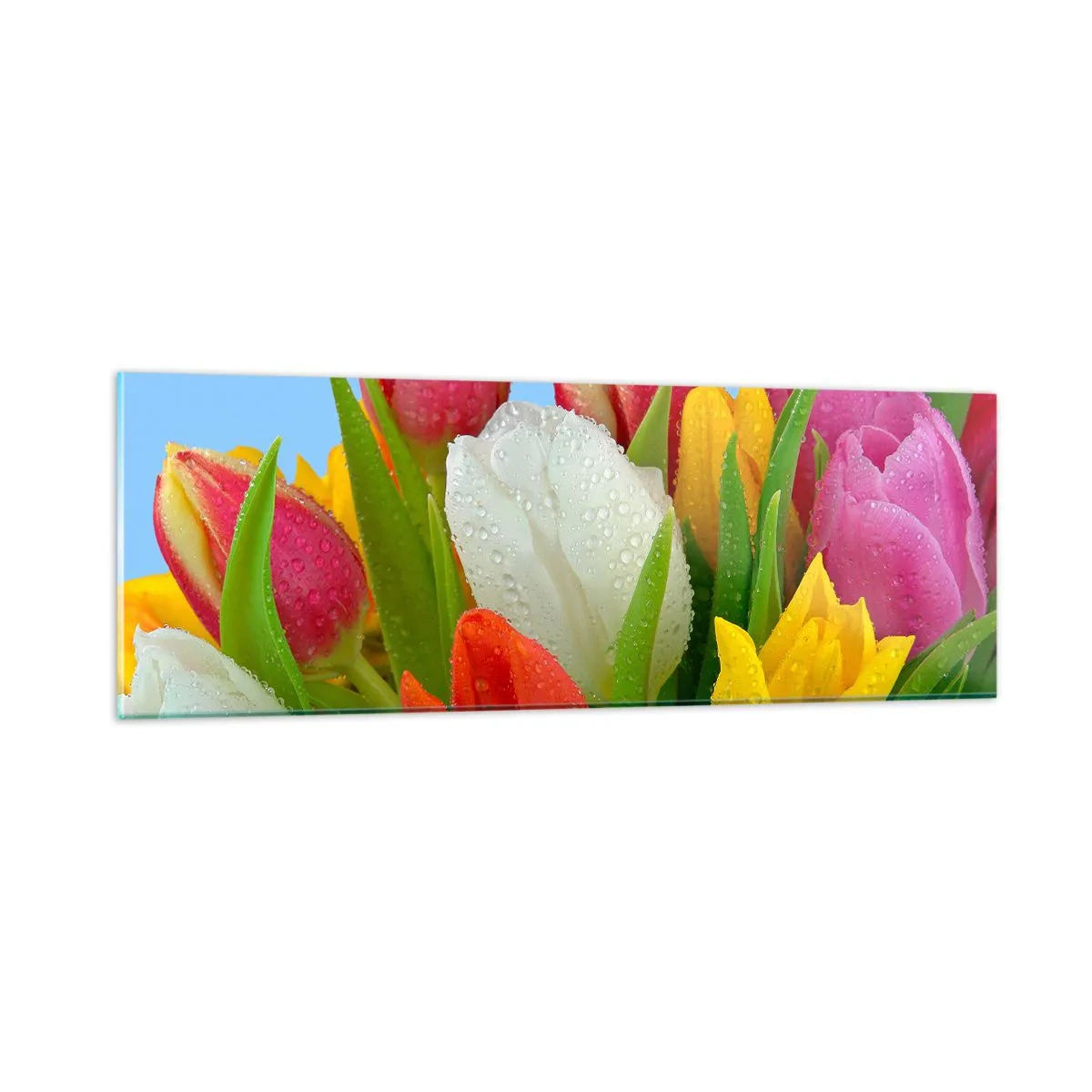 Tablou pe sticlă - Un curcubeu floral în picături de rouă - 90x30 cm