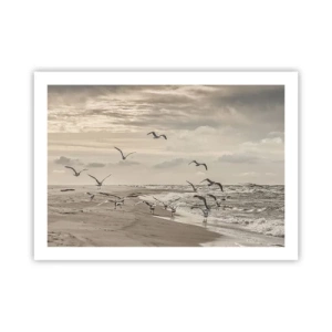 Poster - Marea zumzăie, păsările cântă - 70x50 cm