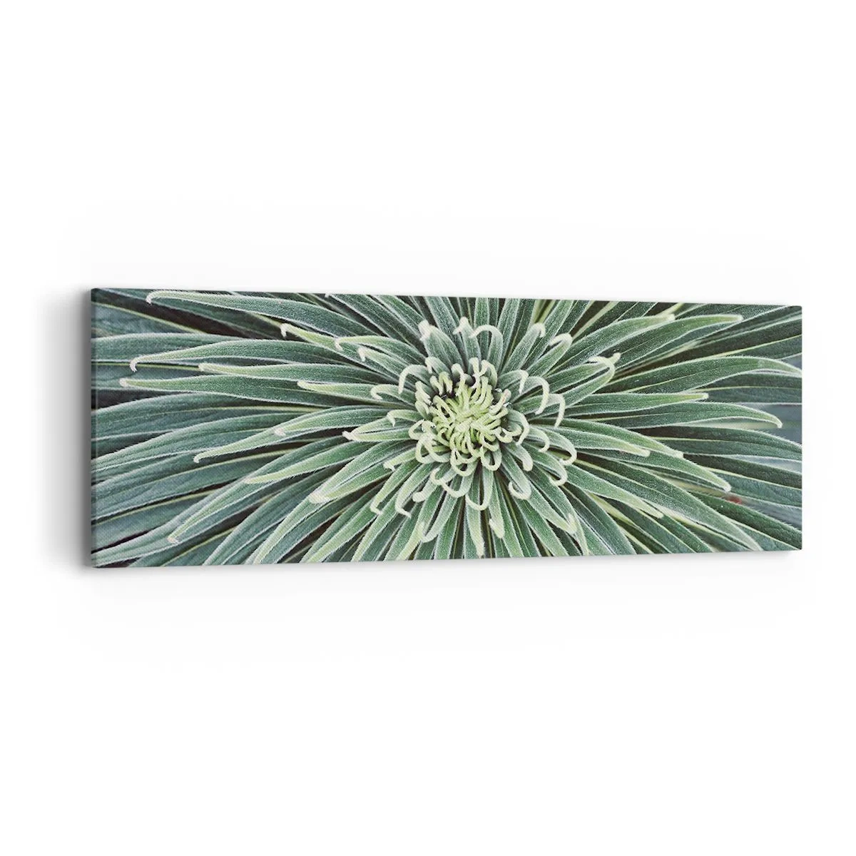 Tablou pe pânză - Nașterea unei stele - 90x30 cm