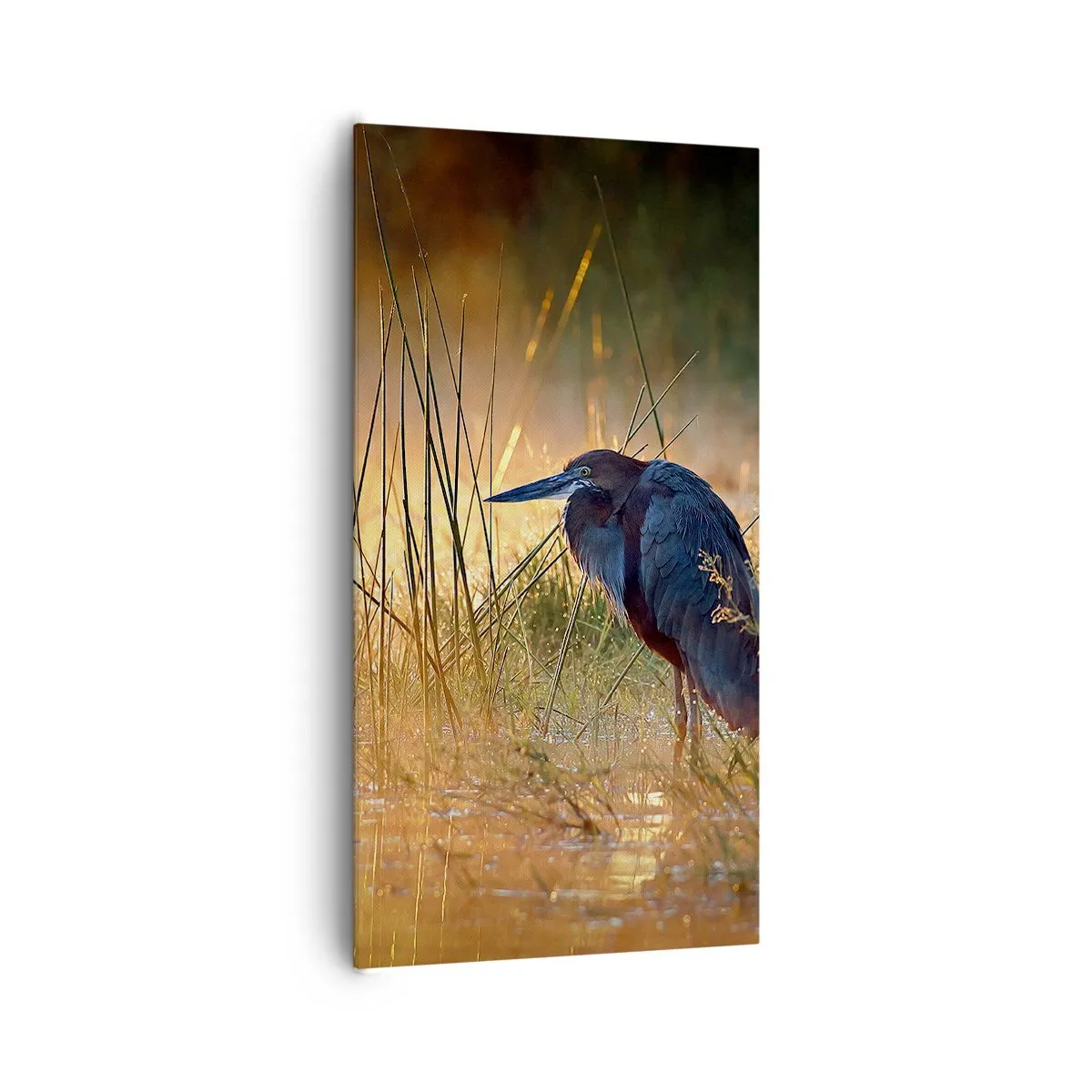 Tablou pe pânză - Lasă-mă în pace cu aceste fotografii - 65x120 cm