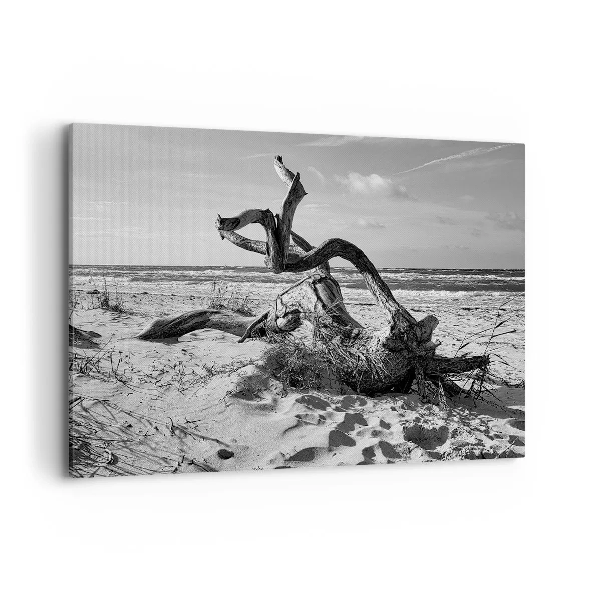 Tablou pe pânză - Sculptură marină - 120x80 cm