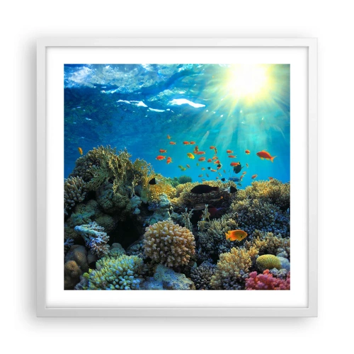 Poster în ramă albă - Comori subacvatice - 50x50 cm