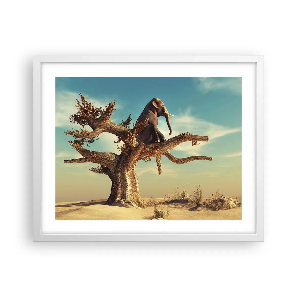 Poster în ramă albă - Un nou punct de vedere - 50x40 cm