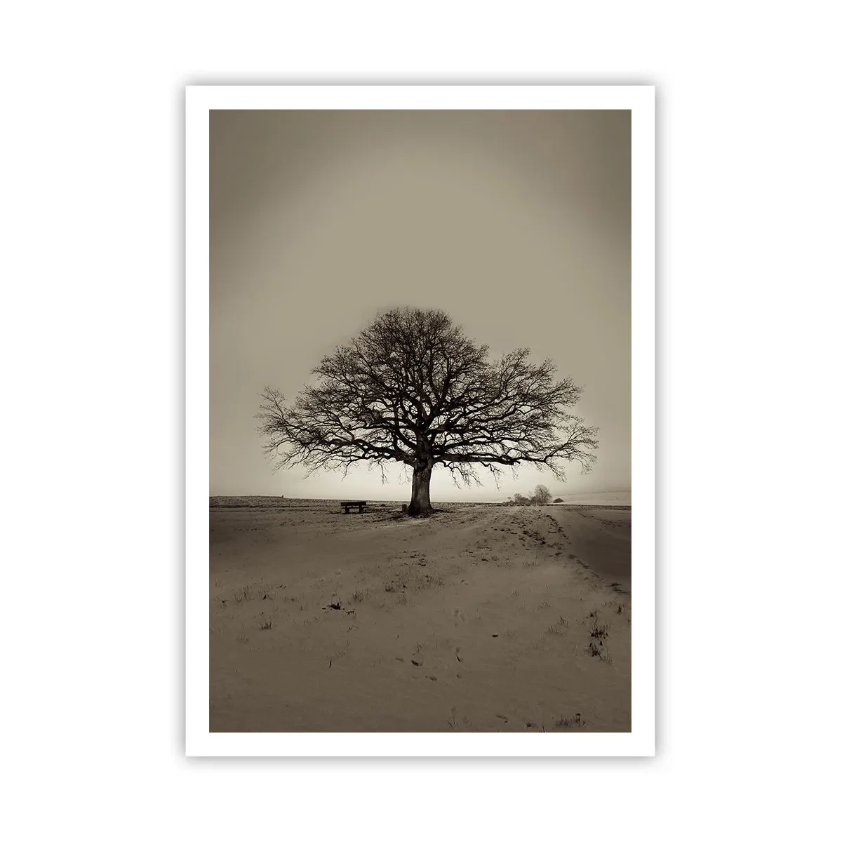 Poster - De aici până în veșnicie - 70x100 cm