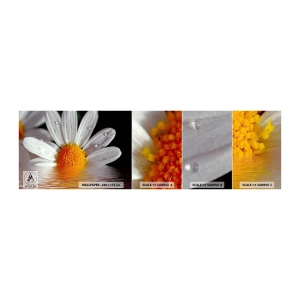 Mostră tapet autocolant Deluxe Sticker - Răsăritul soarelui al Margaretei - Floare, Muşeţel, Natură - 100x30 cm