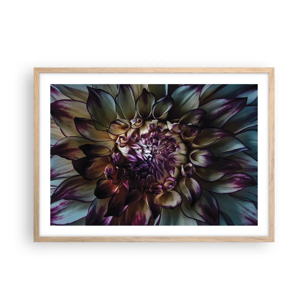 Poster în ramă de stejar deschis - Înflorirea tinereții - 70x50 cm