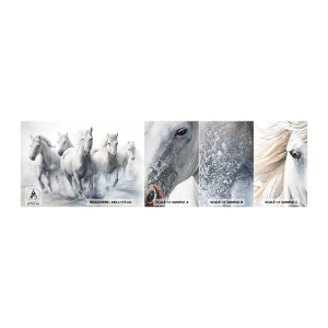 Mostră tapet autocolant Deluxe Sticker - Magie albă - Cai, Animale, Acuarelă - 100x30 cm