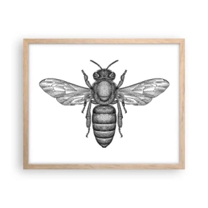 Poster în ramă de stejar deschis - Portret de insectă - 50x40 cm