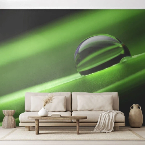 Tapet Premium Canvas - Viața de aproape - Abstracția, Grafică, O picătură de apă - 400x280 cm