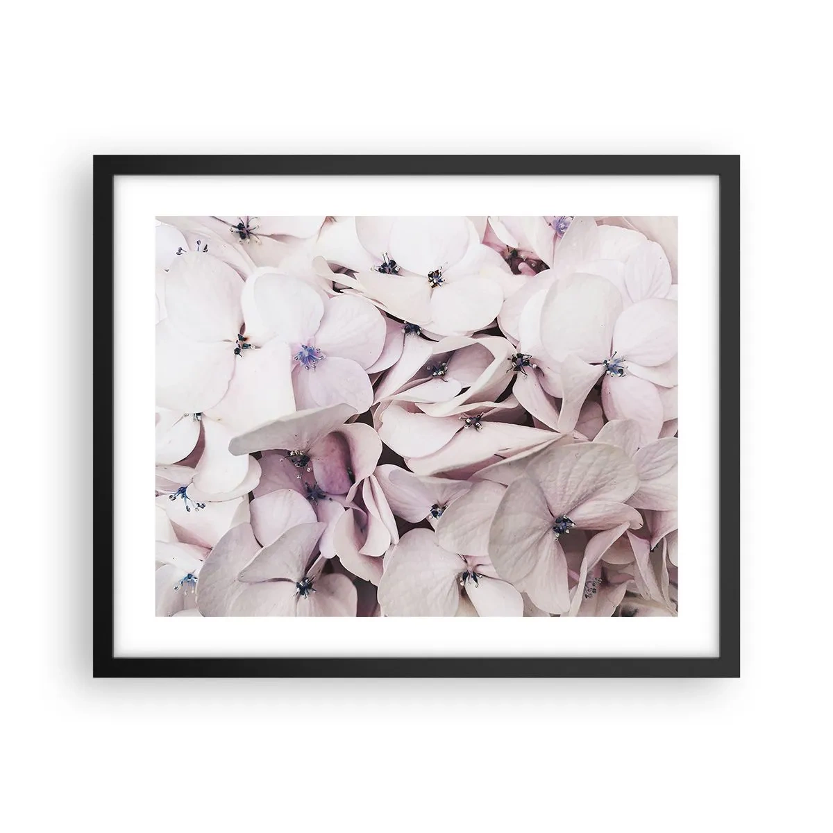 Poster în ramă neagră - Într-un potop de flori - 50x40 cm