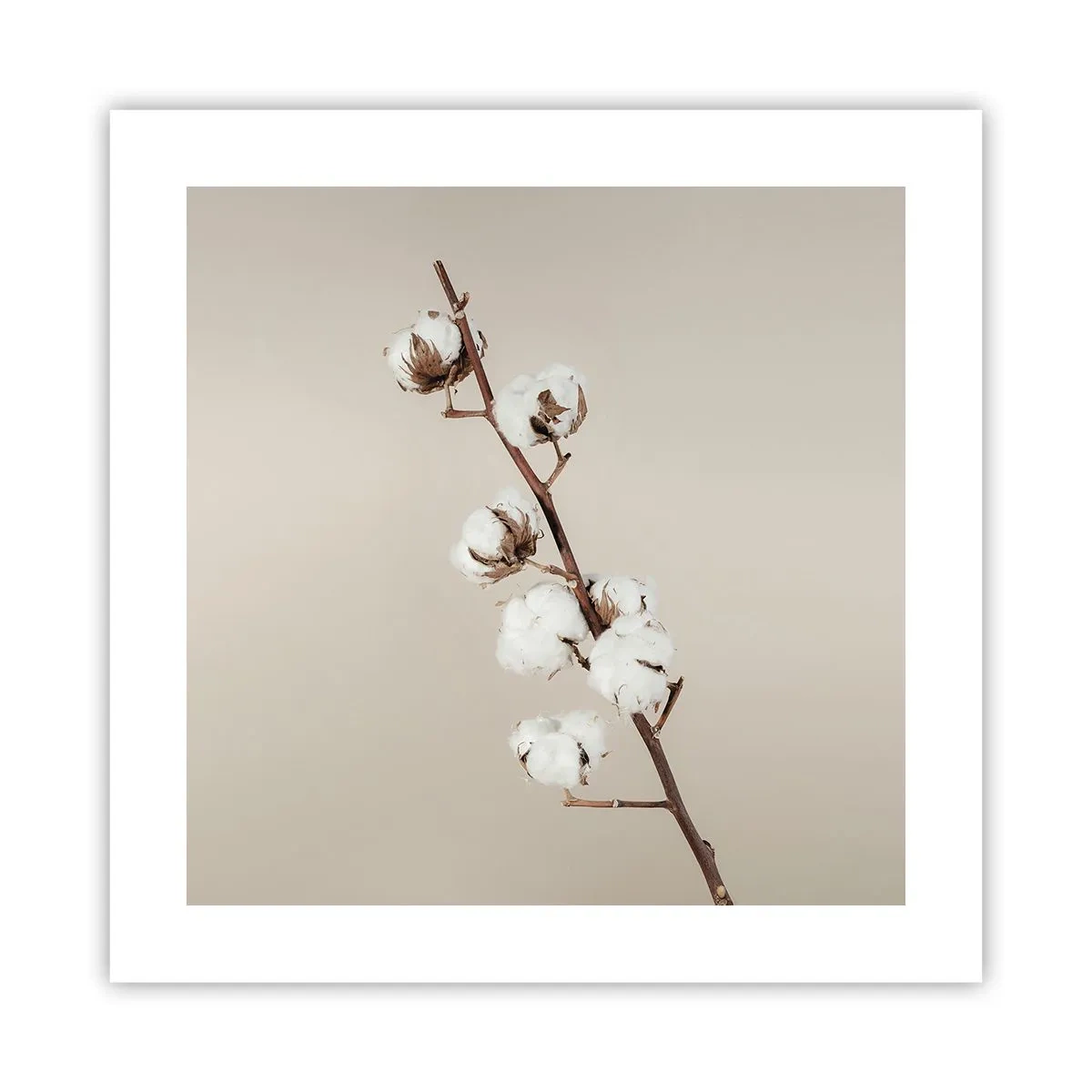 Poster - La sursa moliciunii - 40x40 cm