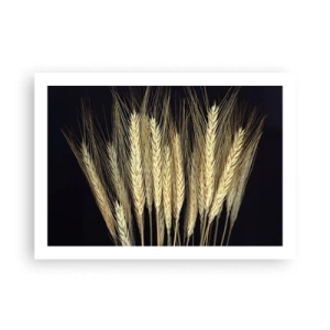 Poster - Magie rustică - 70x50 cm