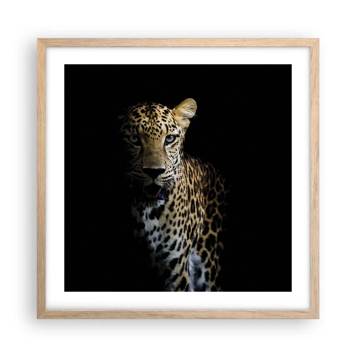 Poster în ramă de stejar deschis - Frumusețe întunecată - 50x50 cm