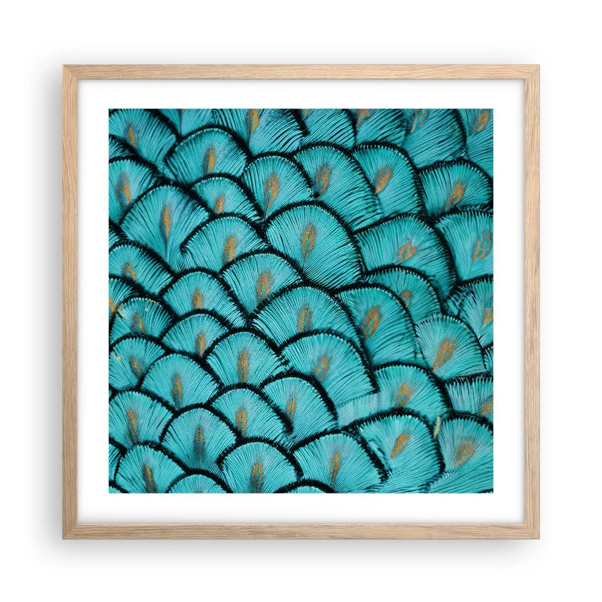 Poster în ramă de stejar deschis - Marea gală a penelor - 50x50 cm