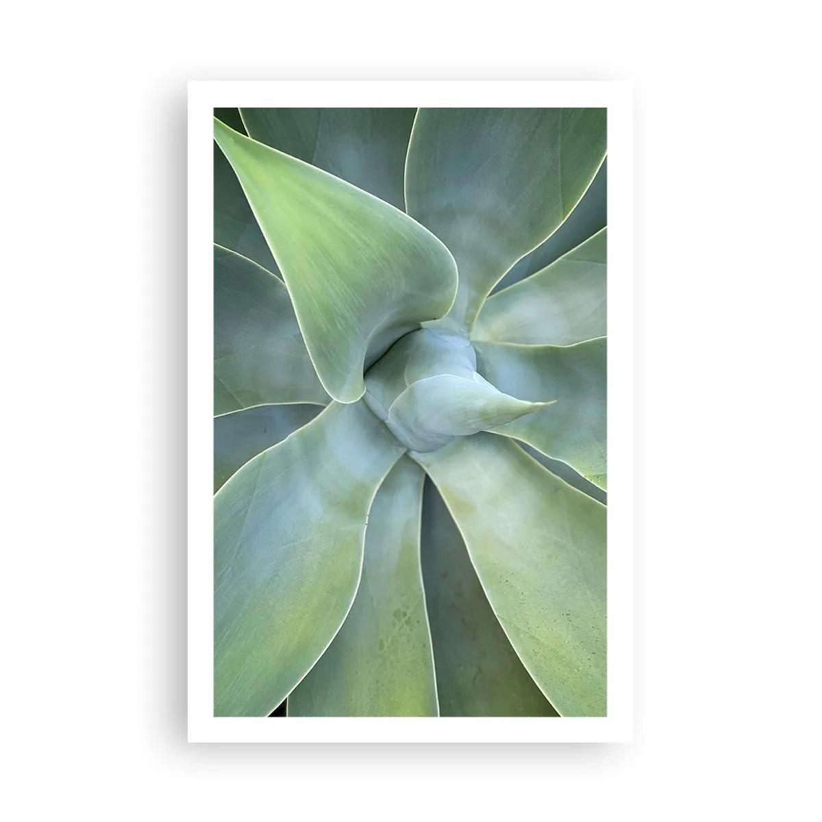 Poster - Nașterea verdeții - 61x91 cm