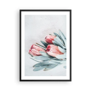 Poster în ramă neagră - O compoziție subtilă de flori de protea pe un fundal deschis - 50x70cm - Rușinate de propria lor frumusețe - Decorațiune modernă pentru perete pentru living și dormitor ARTTOR