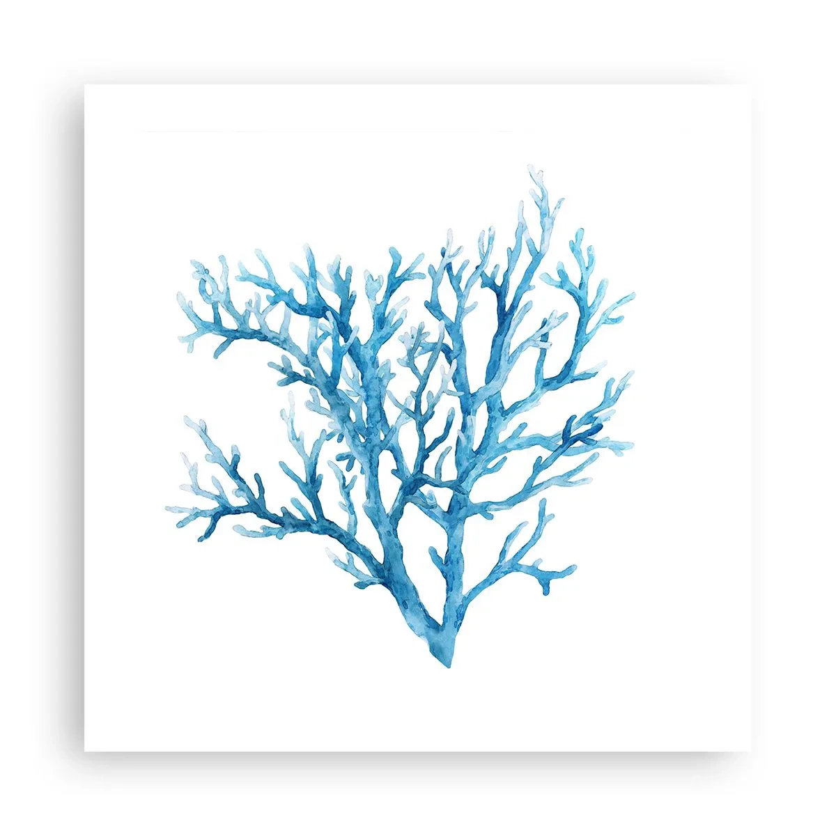 Poster - Filigranul marin - 50x50 cm