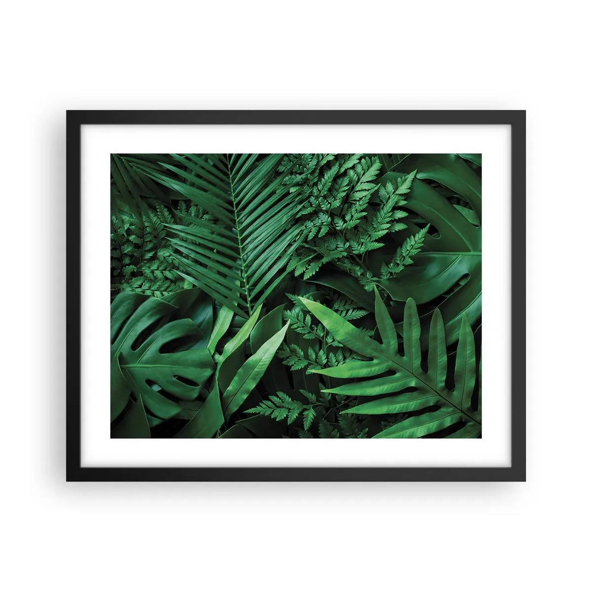 Poster în ramă neagră - Înfășurate în verde - 50x40 cm