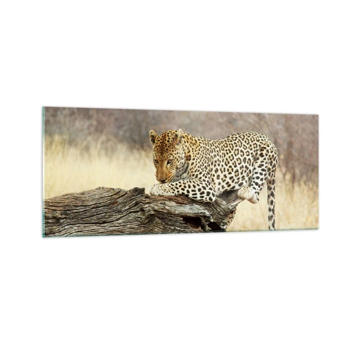 Tablou pe sticlă - Mă duc pe drumul meu - 100x40 cm