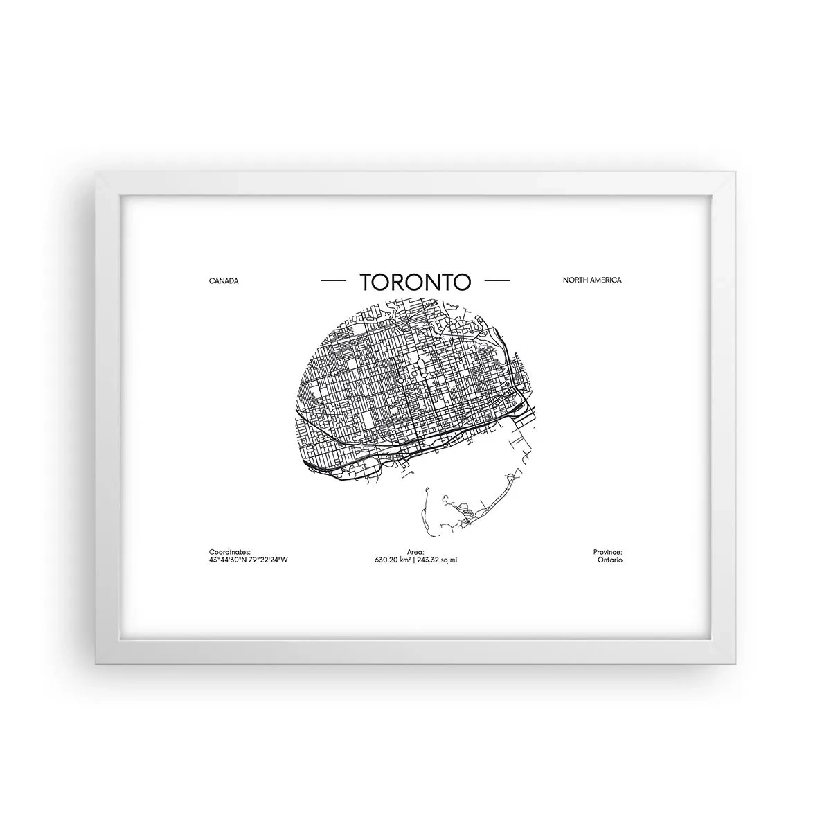 Poster în ramă albă - Anatomia Toronto - 40x30 cm