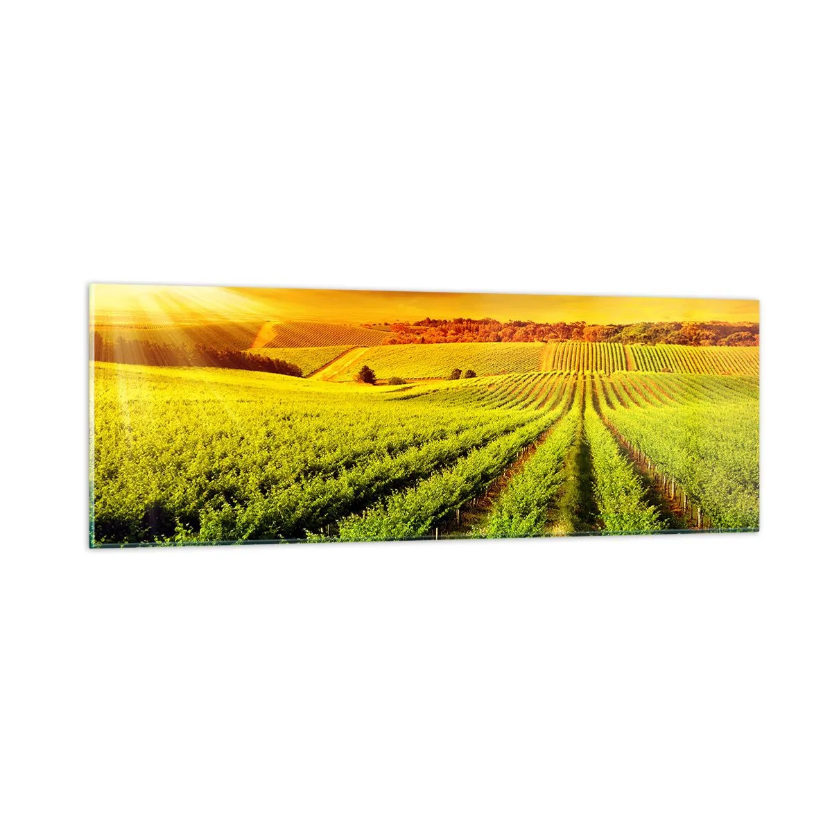 Tablou pe sticlă - Sub soarele australian - 90x30 cm