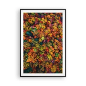 Poster în ramă neagră - Buchet de copaci de toamnă - 61x91 cm