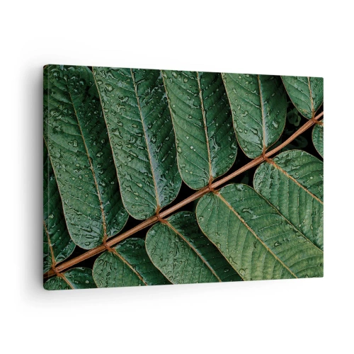 Tablou pe pânză Canvas - Fotografie macro cu frunze verzi cu picături de rouă - 70x50cm - Într-un ritm verde - Decorațiune modernă pentru perete pentru living și dormitor ARTTOR