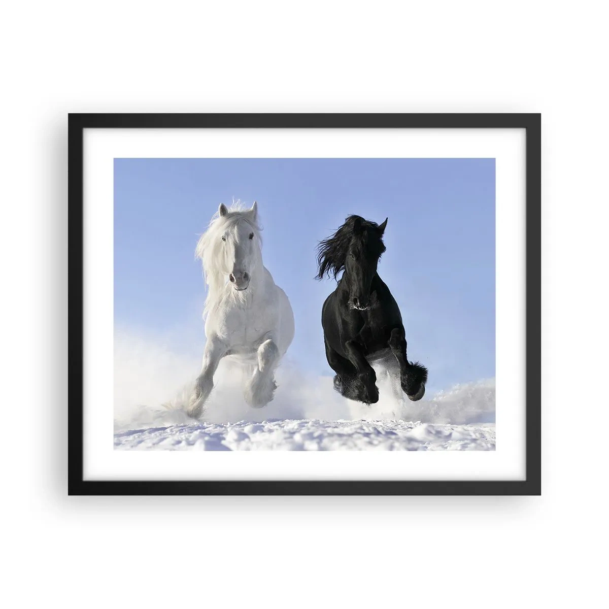 Poster în ramă neagră - Galop de alb și negru - 50x40 cm
