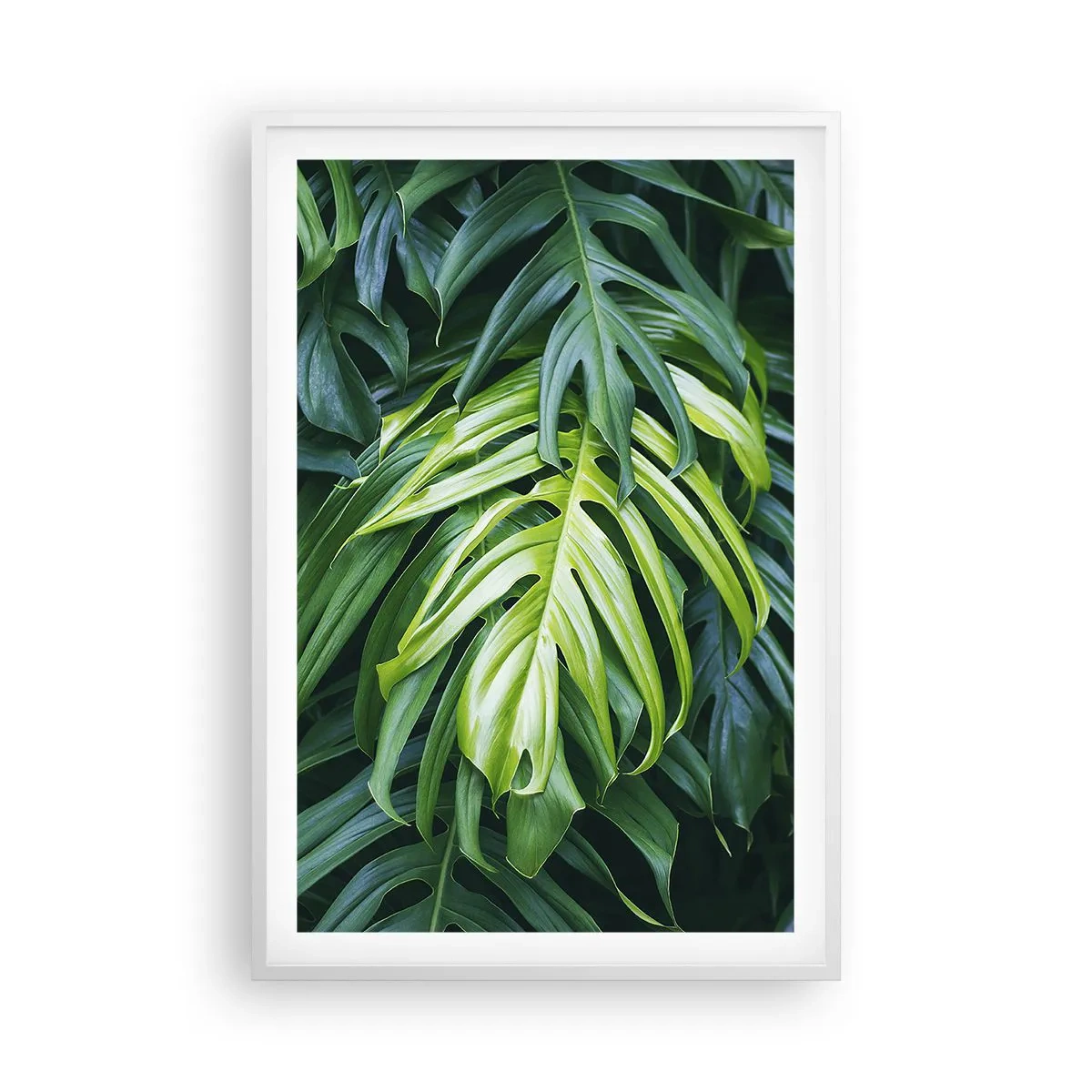 Poster în ramă albă - Scufundă-te în prospețime - 61x91 cm