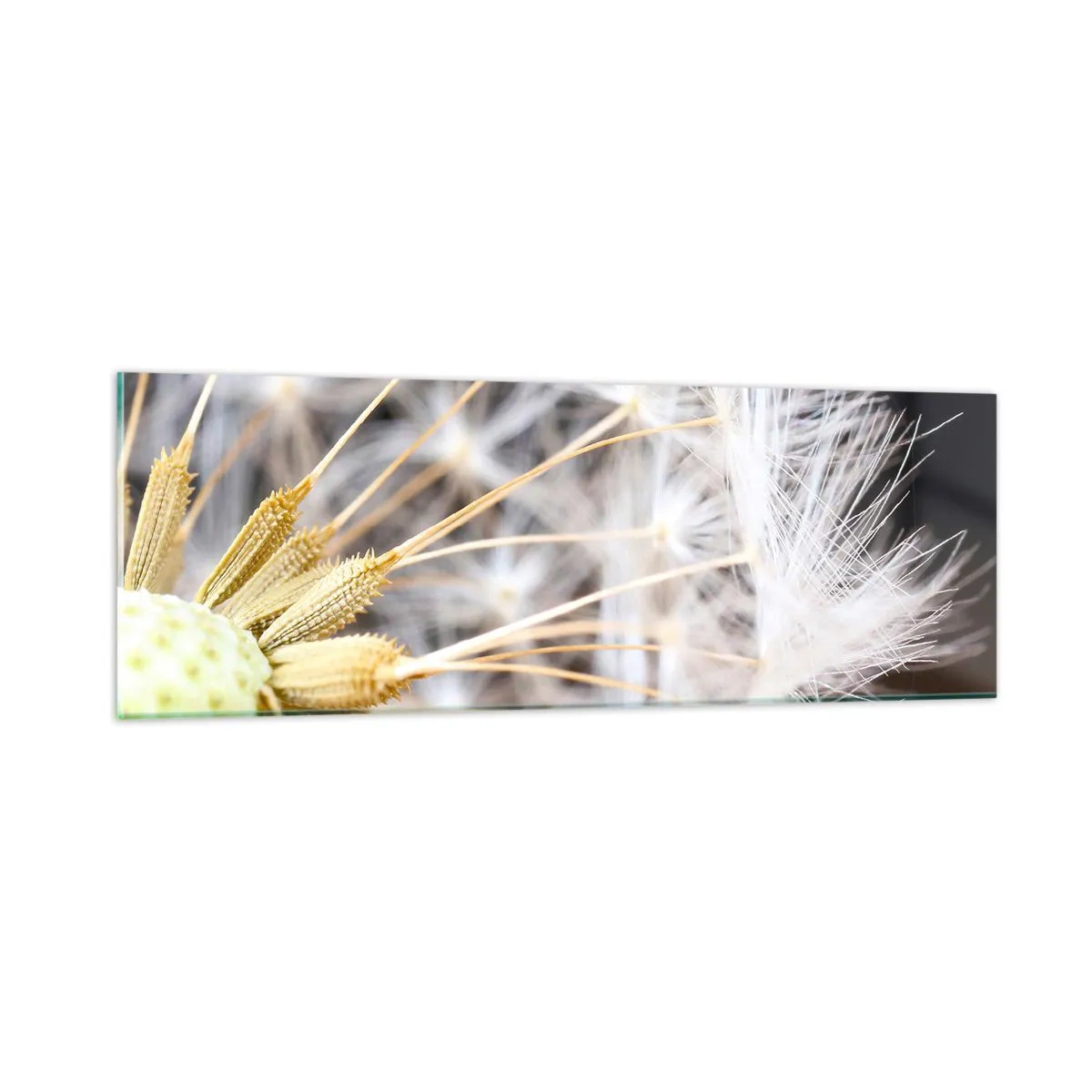 Tablou pe sticlă - Chiar înainte de zbor... - 90x30 cm