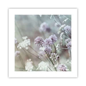 Poster - Ierburi dulci filigranate - 40x40 cm