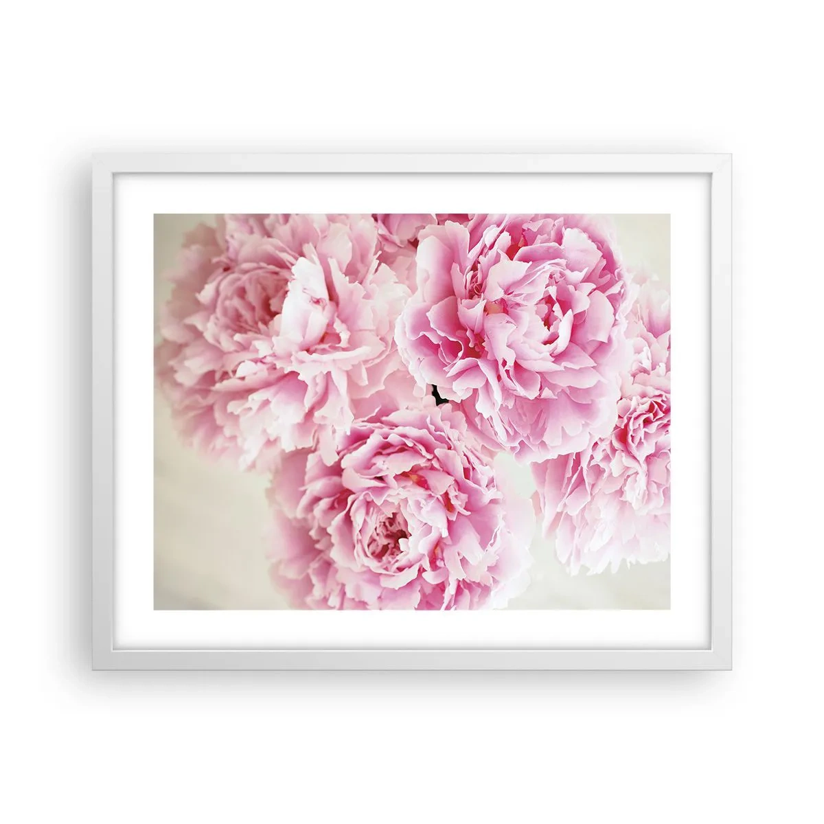 Poster în ramă albă - În luxul roz - 50x40 cm