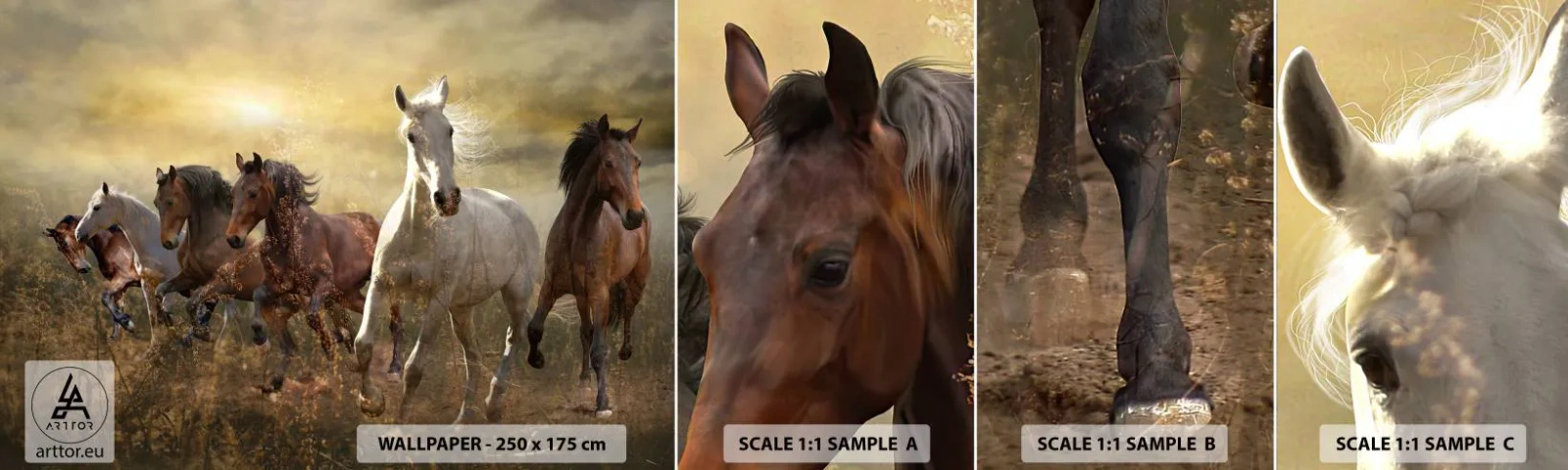 Mostră tapet autocolant Deluxe Sticker - Trăiască libertatea! - Animale, Cal, Galop - 100x30 cm