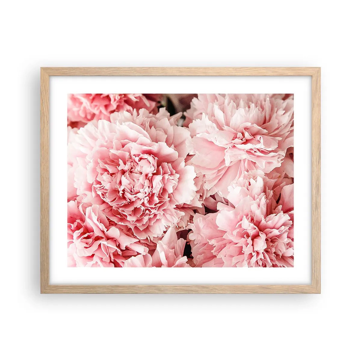 Poster în ramă de stejar deschis - Visul roz - 50x40 cm