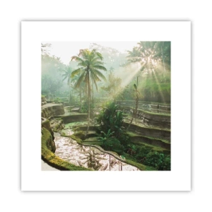 Poster - Crescând la soare - 30x30 cm