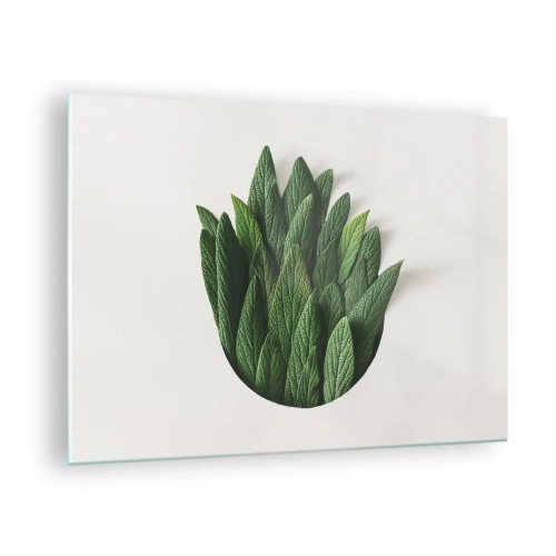 Tablou pe sticlă - Frunze verzi aranjate în formă de vază pe fundal alb - 70x50cm - Curiozitatea nestăvilită - Decorațiune modernă pentru perete pentru living și dormitor ARTTOR