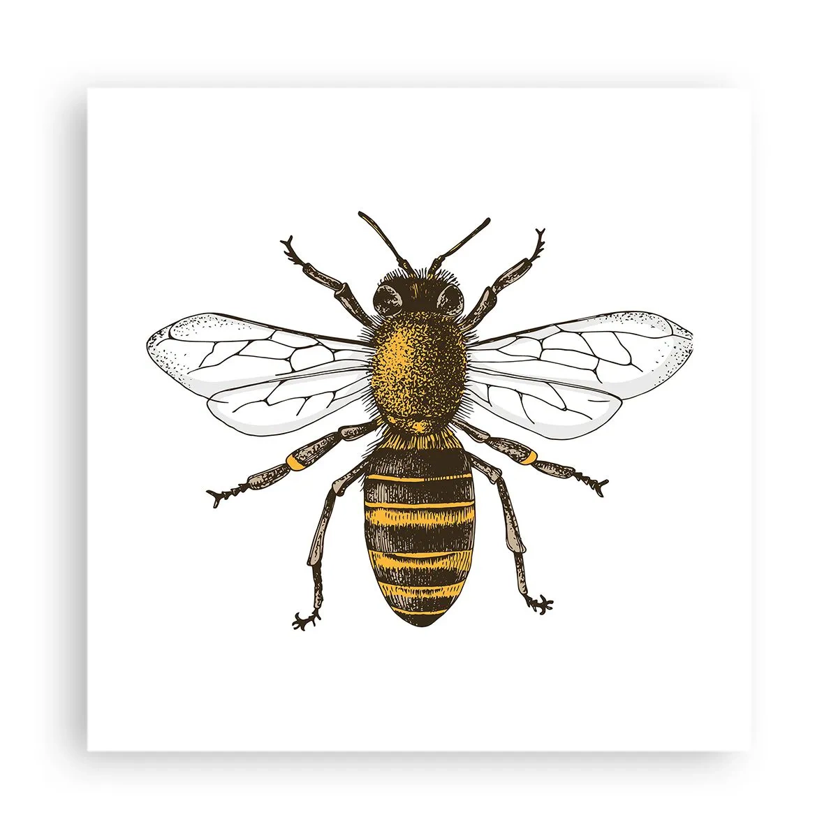 Poster - Frumoasă și bună - 40x40 cm