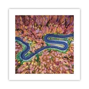 Poster - Un drum șerpuit prin pădure - 40x40 cm