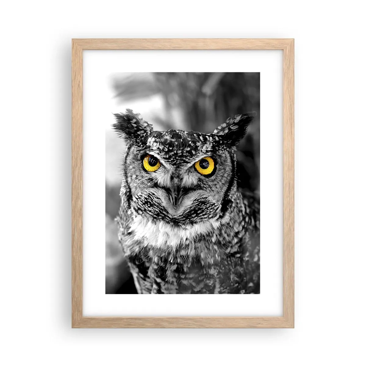 Poster în ramă de stejar deschis - Nimic nu poate fi ascuns - 30x40 cm