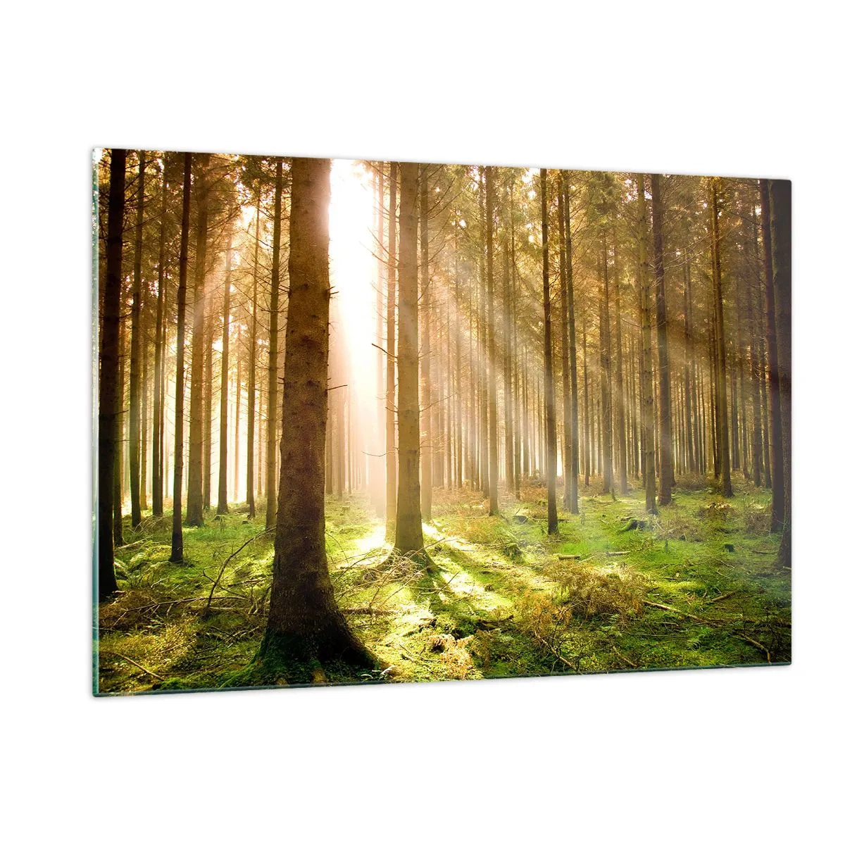 Tablou pe sticlă - Spiridușii sunt pe cale să apară - 120x80 cm