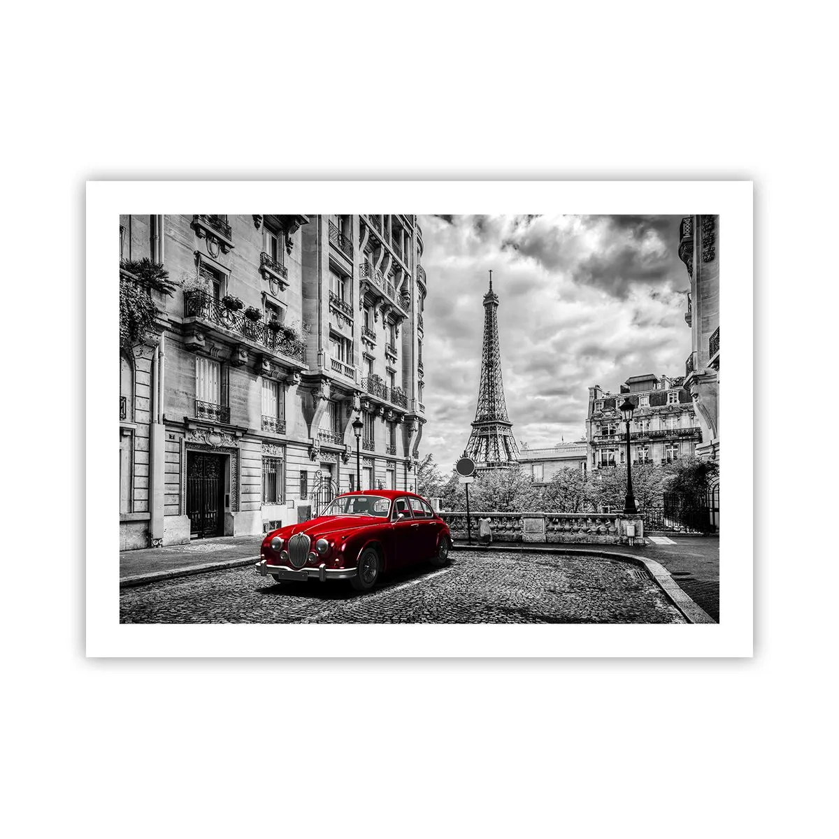 Poster - Prădător în oraș - 70x50 cm