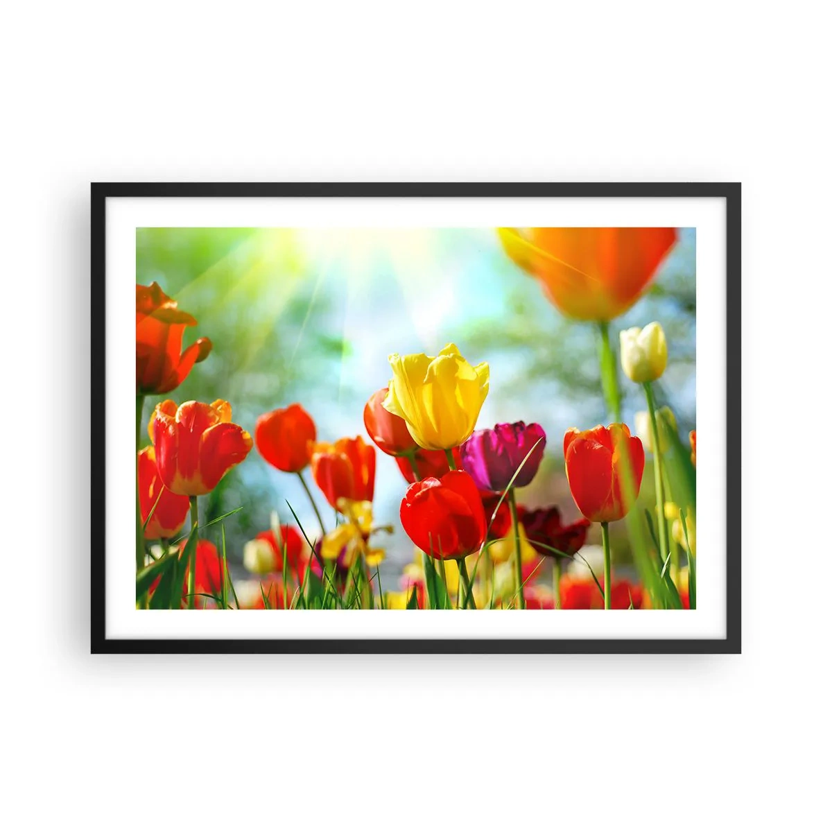 Poster în ramă neagră - Toate culorile soarelui - 70x50 cm