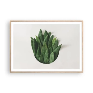 Poster în ramă de stejar deschis - Curiozitatea nestăvilită - 100x70 cm
